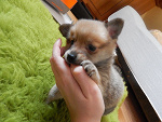 Fotoblog catchmylife