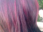 Fotoblog shanes