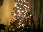 Fotoblog omomommxd