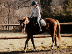 Fotoblog soougly