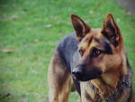 Fotoblog wiktoria25555