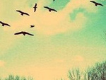 Fotoblog maneeek