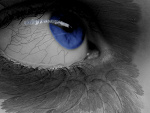 Fotoblog eos550d