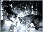 Fotoblog faaaaaaaaza