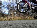 Fotoblog dodo631