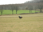 Fotoblog sauterellee