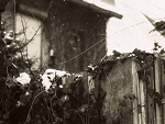 Fotoblog wloczykij91