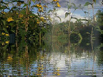 Fotoblog egart