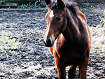 Fotoblog mazia1181