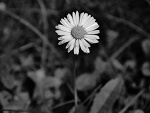 Fotoblog malowanawspomnieniami