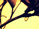 Fotoblog klaudiaaa74