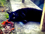 Fotoblog wjankowski96