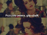 Fotoblog leonetta