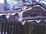 Fotoblog iwona9453