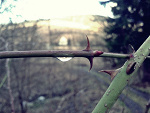 Fotoblog hejtujsuko