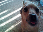 Fotoblog lili1