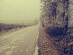 Fotoblog colemacgrath