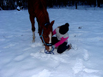 Fotoblog roksia05