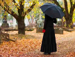 Fotoblog zyjcicho