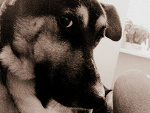Fotoblog agatorowa