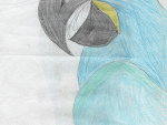 Fotoblog xterres321