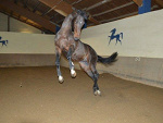 Fotoblog platynka175