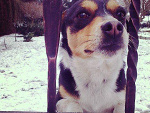 Fotoblog mypersonalpassion