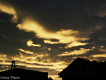 Fotoblog elaphotography