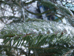 Fotoblog smaaaaaajll
