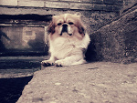 Fotoblog kama1333