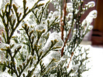 Fotoblog majola14