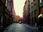 Fotoblog wildstrawberries