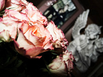 Fotoblog ewelllaaa