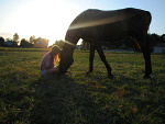 Fotoblog tyna88