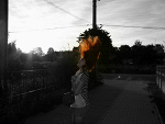 Fotoblog oxoxmrr