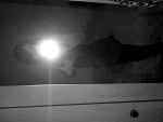 Fotoblog kwiatonators3