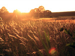 Fotoblog selfcreation