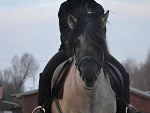 Fotoblog azisowyfel