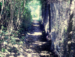 Fotoblog passionismylife