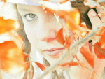 Fotoblog romoto