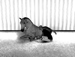 Fotoblog quikostables