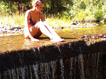 Fotoblog pallomino