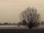 Fotoblog werafoto