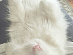 Fotoblog freshloveyolo