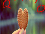 Fotoblog meryanne