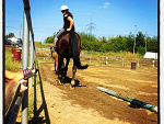 Fotoblog ptasiu
