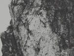 Fotoblog larve