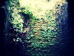 Fotoblog gubolugo