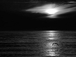 Fotoblog landrynkowaona
