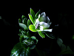 Fotoblog art95